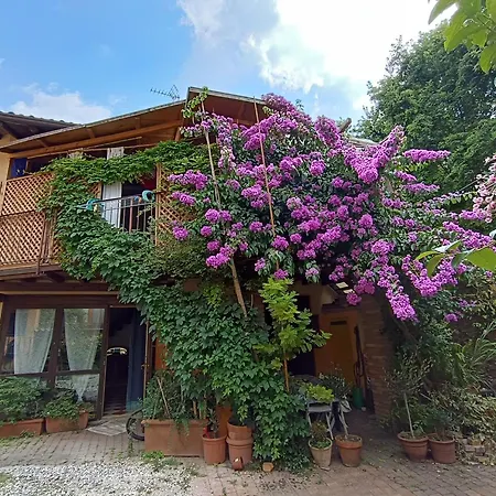 Manerba Giardino 2 Bici Apartment